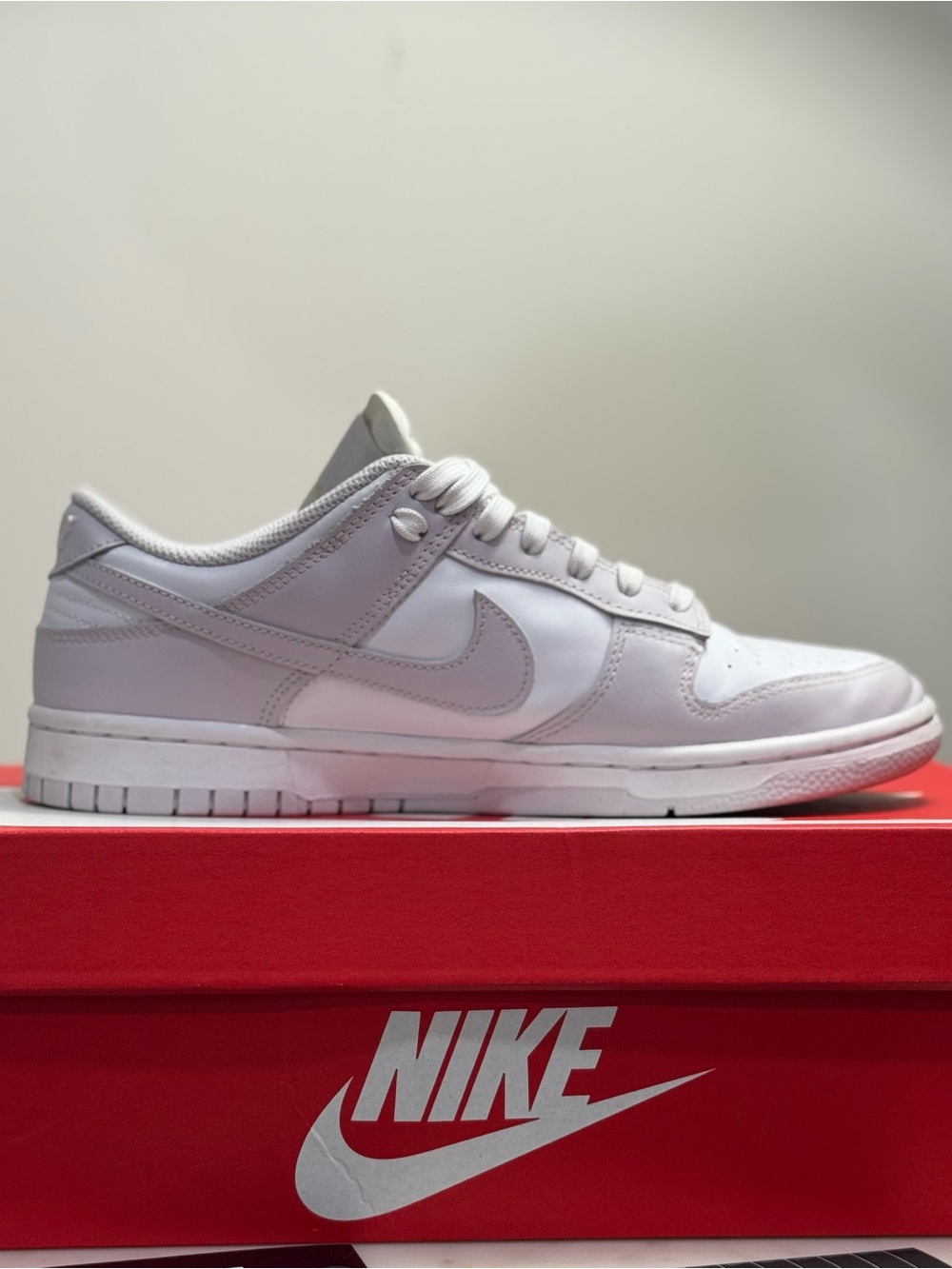 Nike White Low-Top Dunk-Style Sneakers